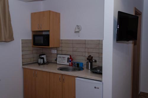 Kuchyň nebo kuchyňský kout v ubytování Casa Rezidentiala Pasteur