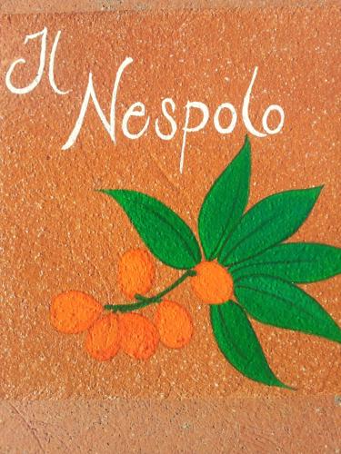 a picture of a picture of a branch with oranges at Appartamento Il Nespolo in Pomonte