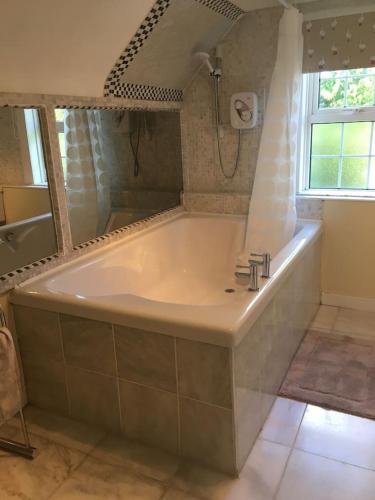 a large bath tub in a bathroom with a shower at Herb Wood Cottage in Hawick