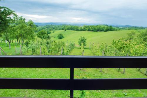 a view of a field from a window at Holiday Home Dandelion with Hot Tub & Sauna in Cetingrad