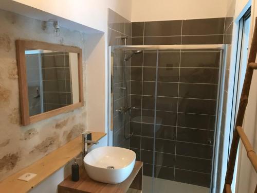 een badkamer met een wastafel en een douche met een spiegel bij Dépendance cosy dans le Vexin, terrasse et jardin in Us