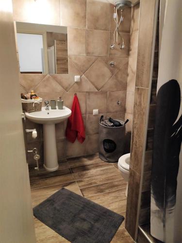 a bathroom with a sink and a toilet and a mirror at Cozy apartments in Komotini