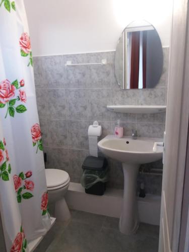 uma casa de banho com um lavatório, um WC e um espelho. em Cazare NEU-ARAD AUTOSTRADA em Arad