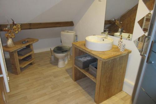 La salle de bains est pourvue d'un lavabo et de toilettes. dans l'établissement Le Seringat, à Saint-Léonard