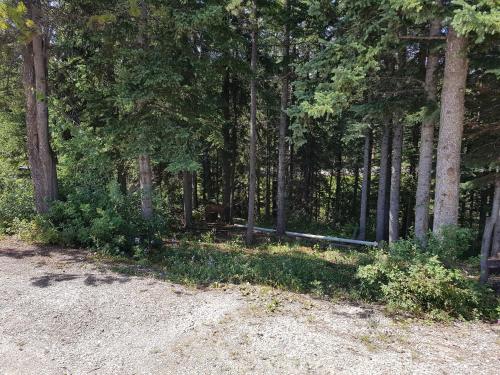 Edson RV Park & Campground – Photos 4