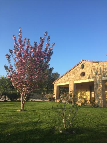 Agriturismo Podere Micitto – Photos 3