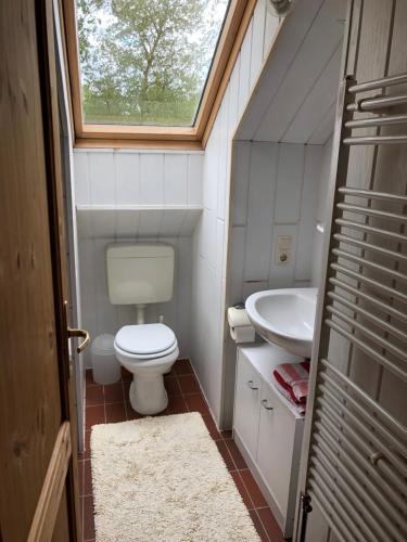 een kleine badkamer met een toilet en een wastafel bij Hof Keske in Peissen