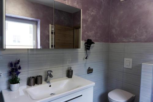 a bathroom with a sink and a toilet and a mirror at Viktoria Apartments in Bled