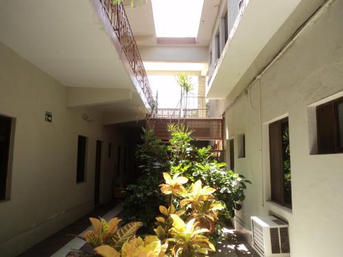 Φωτογραφία από το άλμπουμ του Hotel Kuraica σε Ciudad Obregón