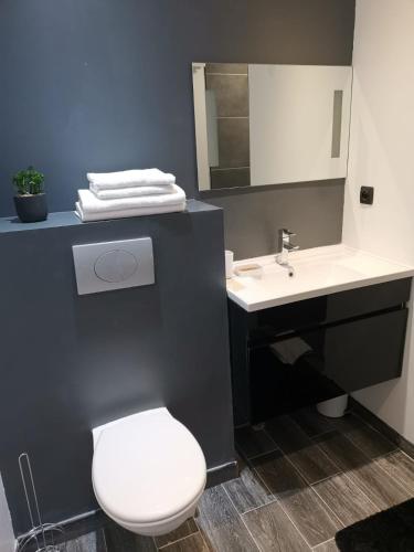 Bilik mandi di Home Place Apartments - Langon Sauternes