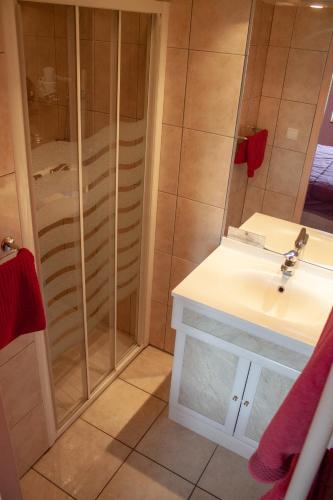 a bathroom with a shower and a sink at Relais Vosgien - Hôtel Restaurant "la Table de Sophia" in Saint-Pierremont