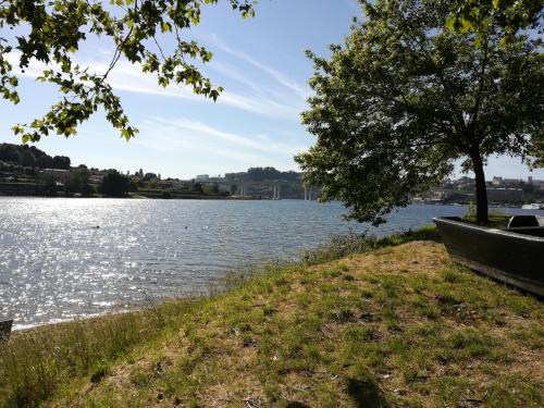 a boat on the shore of a lake at Green Villas Douro in Gondomar