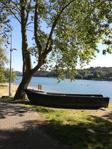 a boat sitting on the grass next to a tree at Green Villas Douro in Gondomar