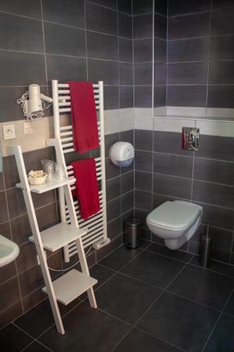 a bathroom with a toilet and a towel rack at Relais Vosgien - Hôtel Restaurant "la Table de Sophia" in Saint-Pierremont
