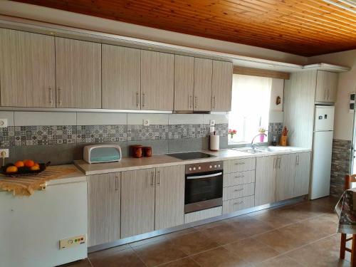 Küche/Küchenzeile in der Unterkunft Repanidi Apartment D / Ρεπανίδι Διαμέρισμα Δ