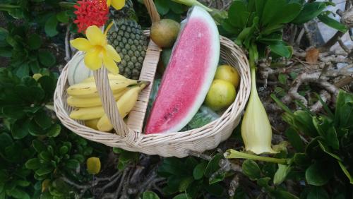 a basket filled with fruits and vegetables on a tree at le petit coin de paradis in Sainte-Anne