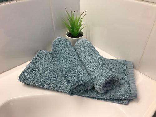 two towels sitting on a bathroom counter next to a sink at Cobb Inlander Motel in Hay