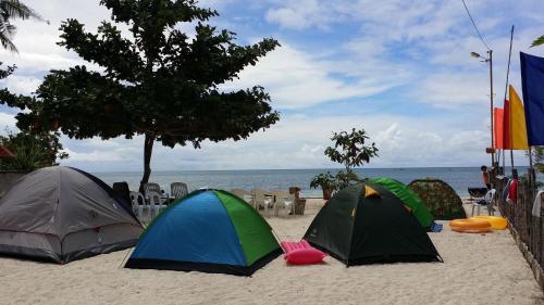 a group of tents sitting on the beach at Sabas Beach and Campsite in Siquijor