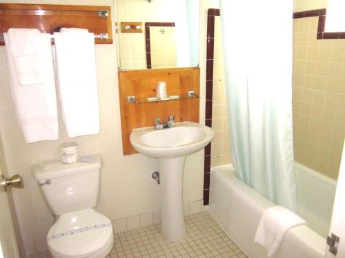 un bagno con wc, lavandino e doccia di Color Country Motel a Panguitch