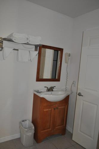 a bathroom with a sink and a mirror at At 9 Motel in Howell