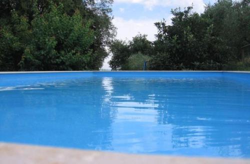 a blue swimming pool with trees in the background at Colors Tastes in the Montagnola Senese in Valiano 