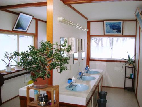 Kúpeľňa v ubytovaní Togakushi- Kogen Minshuku Rindo