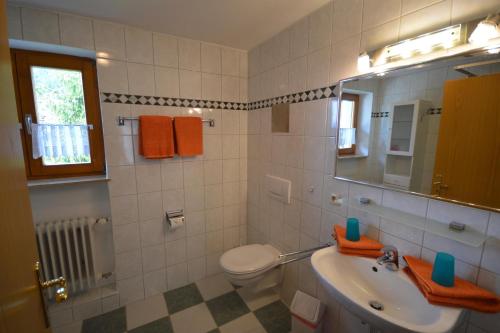 a bathroom with a sink and a toilet and a mirror at Haus Alpenblick in Oberjoch