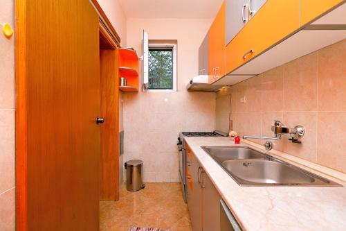 een kleine keuken met een wastafel en een aanrecht bij Apartments Jankovic in Kotor