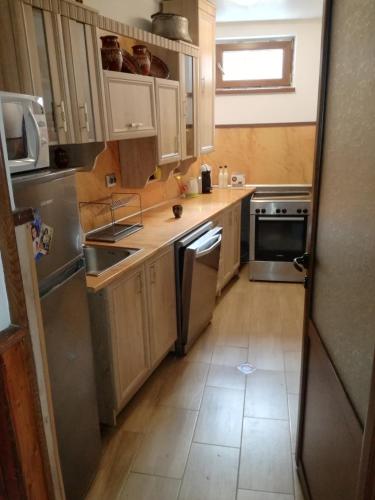 a kitchen with wooden cabinets and stainless steel appliances at Радкината къща in Koprivshtitsa