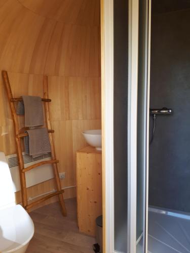a bathroom with a shower and a toilet and a sink at Tinyhouse Zollernalb in Balingen