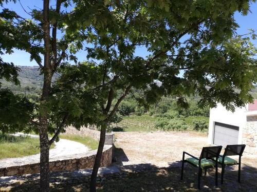two chairs sitting under a tree in a yard at Quinta dos Carvalhais - Serra da Estrela in Fornos de Algodres