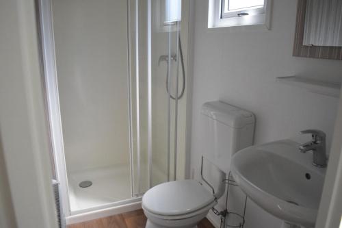 Ένα μπάνιο στο 4 pers. Veluwelodge met Sauna