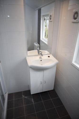 a bathroom with a white sink and a mirror at 4 pers. Veluwelounge in Voorthuizen