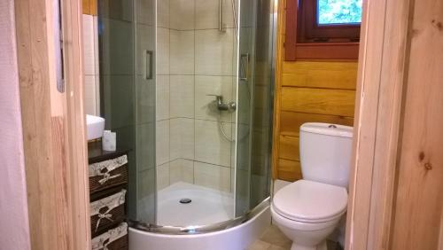 La salle de bains est pourvue de toilettes et d'une douche en verre. dans l'établissement Ło'Burka, à Chrztowo