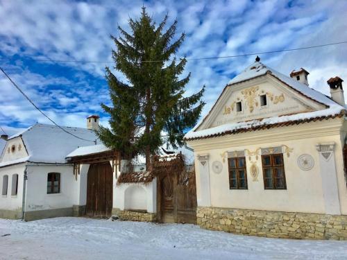 a house with a christmas tree in front of it at Count Kálnoky's Transylvanian Guesthouses in Micloşoara