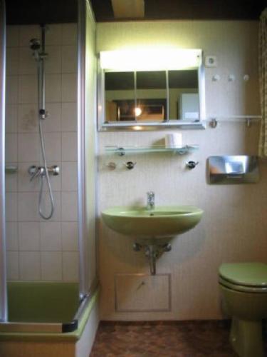a bathroom with a sink and a shower and a toilet at Holiday park- Robinson in Waldbrunn
