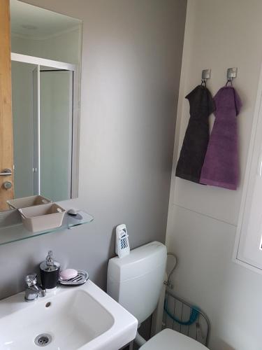 een badkamer met een wastafel, een toilet en een spiegel bij Mobile Home Pearl of Murter in Jezera