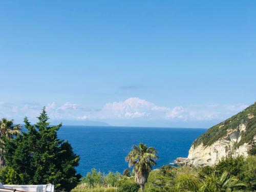 Photo de la galerie de l'établissement Fortino - Immobilevante, à Ponza