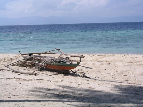 Dolphin House Resort Moalboal – Photos 3
