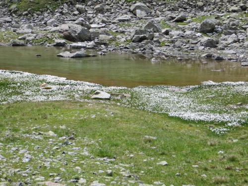 ゲストハウスの近くで見られる自然の景観