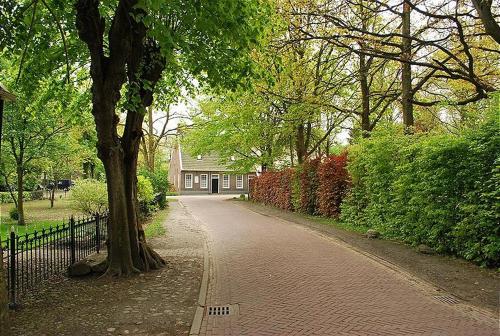 Villa Franka – Photos 3