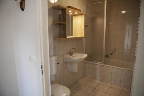 a bathroom with a toilet and a sink and a shower at Wilbrink 6-8 pers. bungalow in Voorthuizen