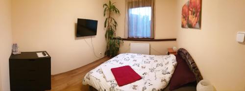 1 dormitorio con 1 cama y TV en Szent László, en Budapest