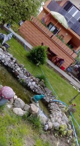 a backyard with a pond and a house at Sweet dreams in Zaječar