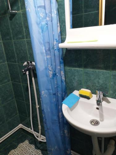 a bathroom with a sink and a shower curtain at Sweet dreams in Zaječar