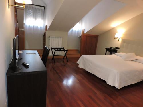 Schlafzimmer mit einem Bett und einem Schreibtisch mit einem TV in der Unterkunft Hotel El Nogal in Valladolid
