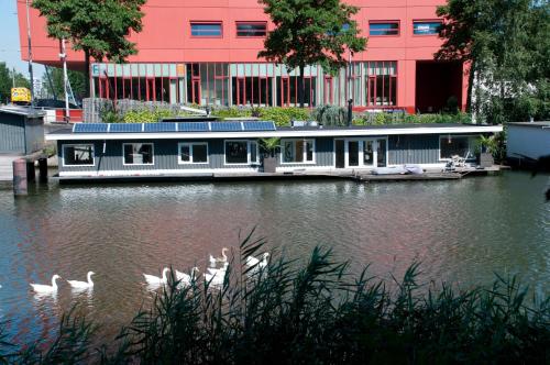 a boat on a river with swans in front of a building at Bed Breakfast Boat in Amsterdam