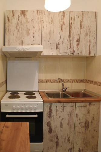 Cuina o zona de cuina de Apartman Kaja