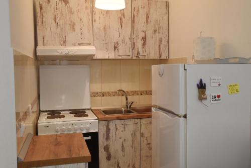 Køkken eller tekøkken på Apartman Kaja