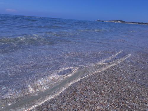 a group of tracks in the water on a beach at B&B Uliveto del Gargano in Vieste